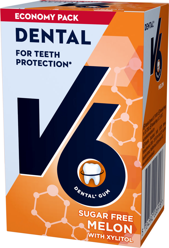 V6 DENTAL MELON 70G